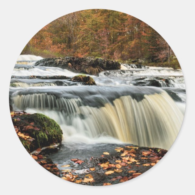 Adesivo Shohola cai no outono (Frente)