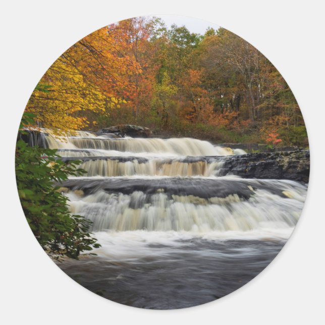 Adesivo Shohola cai no outono (2) (Frente)