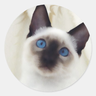 Adesivo Siamese Kitten