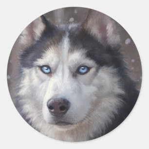 Adesivo Siberian Husky