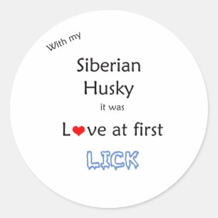 Adesivo Siberian Husky Love in First Lick - Sticker