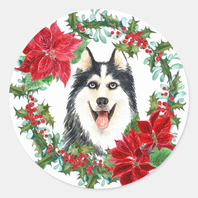 Adesivo Siberian Husky Poinsettia Holly Christmas Wreath (Frente)