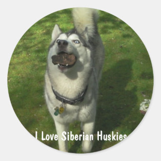 Adesivo Siberian Husky Stickers