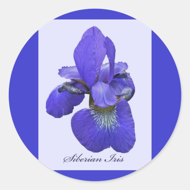 Adesivo Siberian Iris Sticker (Frente)
