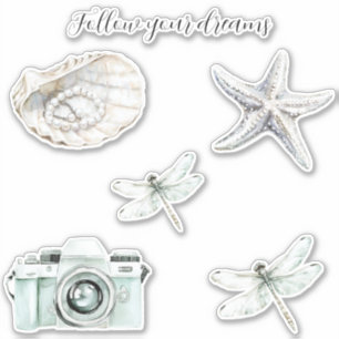 Adesivo Siga seus sonhos