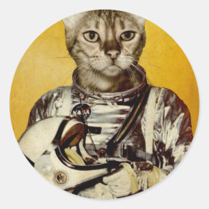 Adesivo Siga seus sonhos