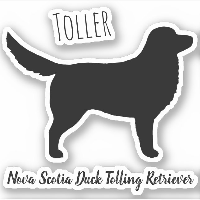 Adesivo Silhouette do Retriever de Tolling Duck da Nova Es (Frente)