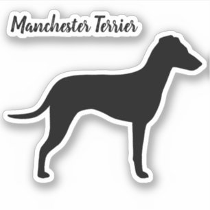 Adesivo Silhueta de Manchester Terrier com orelhas
