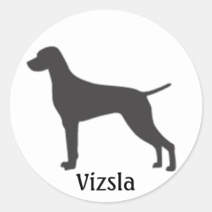 Adesivo Silhueta de Vizsla