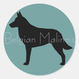 Adesivo Silhueta do Malinois Belga