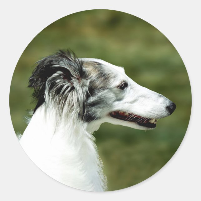 Adesivo Silken Windhound A (Frente)