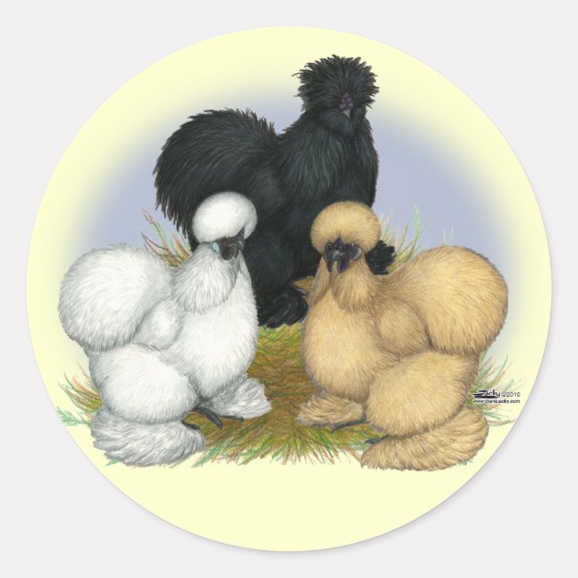Adesivo Silkie Trio (Frente)