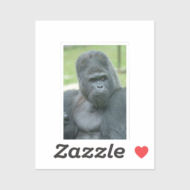 Adesivo Silverback Dishi (Folha)