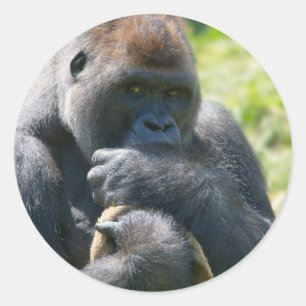 Adesivo Silverback Gorilla E Seu Banheira