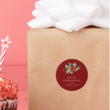 Simple Elegant Christmas Watercolor Botanical Clas