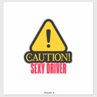 Adesivo Sinal de Apontador de Carro Engraçado Cuidado