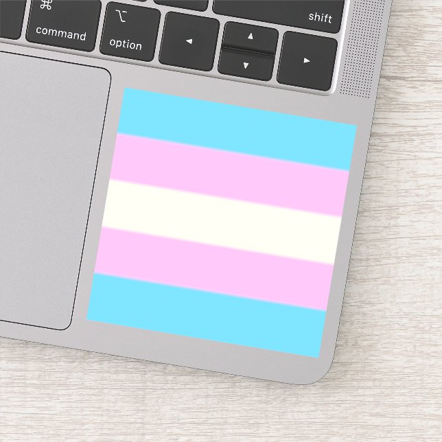 Adesivo Sinalizador de Desvio de Prioridade Trans (Detalhe)