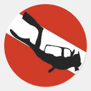 Adesivo Sinalizador do driver 2