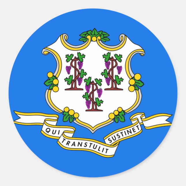 Adesivo Sinalizador do Estado de Conexão (Frente)