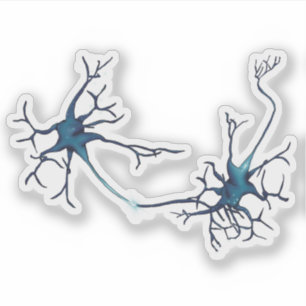 Adesivo Sinapse Entre Neurônios, Neurônio da Neurociência
