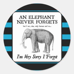Adesivo Sinto muito por ter esquecido.