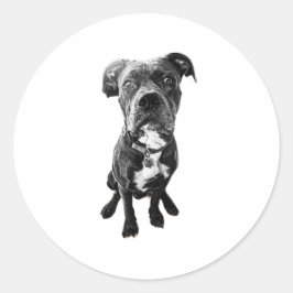Adesivo Sitting Dog Sticker – Realistic Black & White Pose