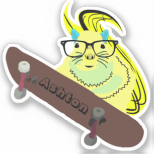 Adesivo Skate de nome personalizado nº 962 do Esquilo tra