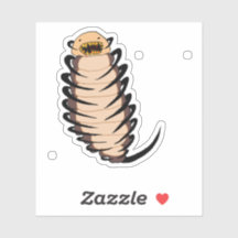 Adesivo Skinleech