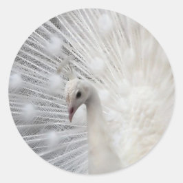 Adesivo Skully Top Divertido