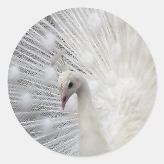 Adesivo Skully Top Divertido (Frente)