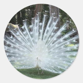 Adesivo Skully Top Divertido