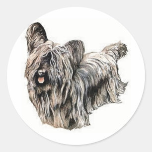 Adesivo Skye Terrier