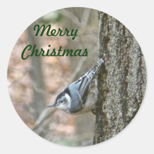 Adesivo Slate Cinza Nuthatthatbird Natal Songbird Natal