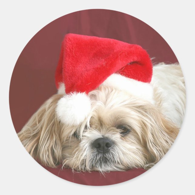 Adesivo Sleepy Christmas Shih Tzu (Frente)