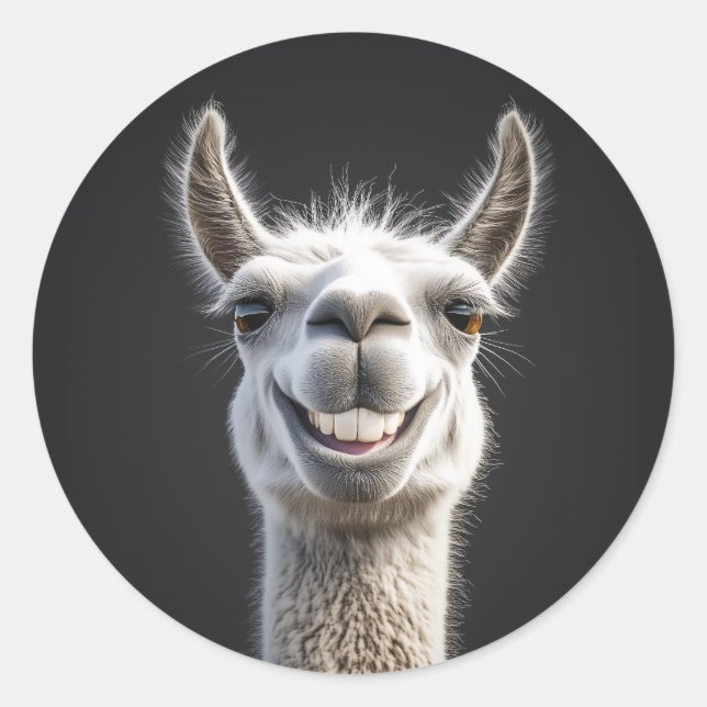 Adesivo Smiling Llama Close-up (Frente)