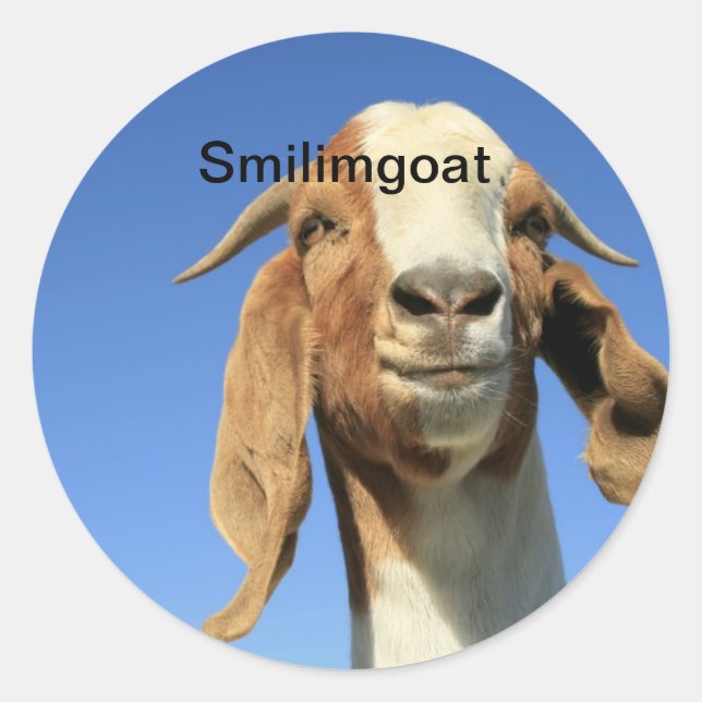 Adesivo Smilingoat (Frente)