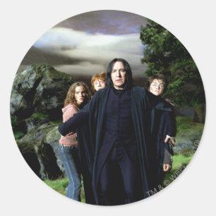 Adesivo Snape Hermoine Ron Harry