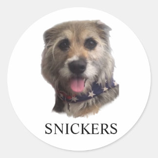 ADESIVO SNICKERS STICKER