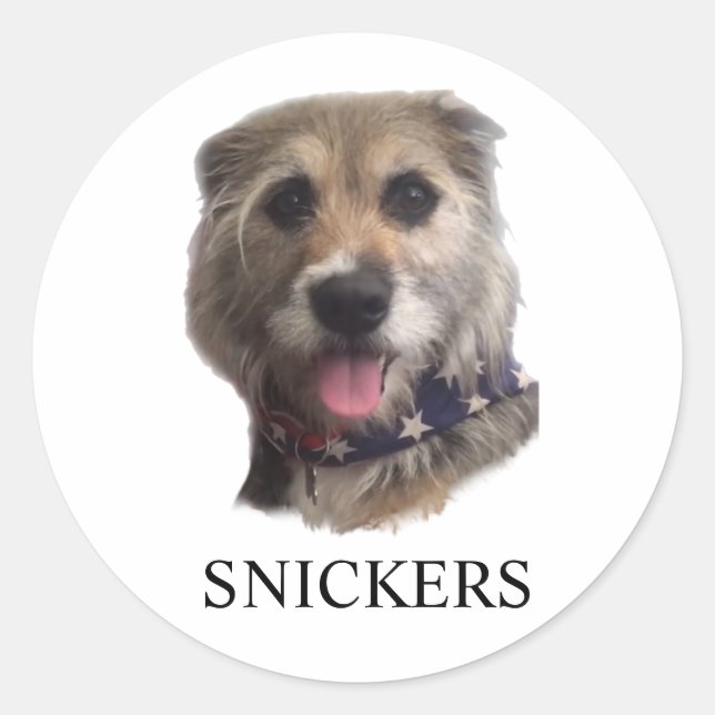 ADESIVO SNICKERS STICKER (Frente)