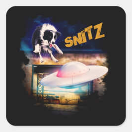 adesivo Snitz do Reparo de Saucer de Bob