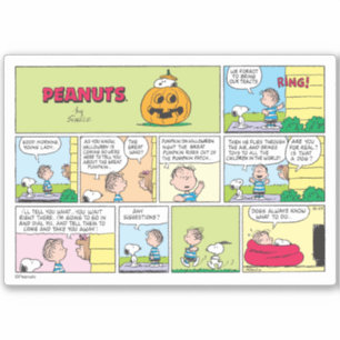 Adesivo Snoopy & Linus   O Excelente Pumpkin News