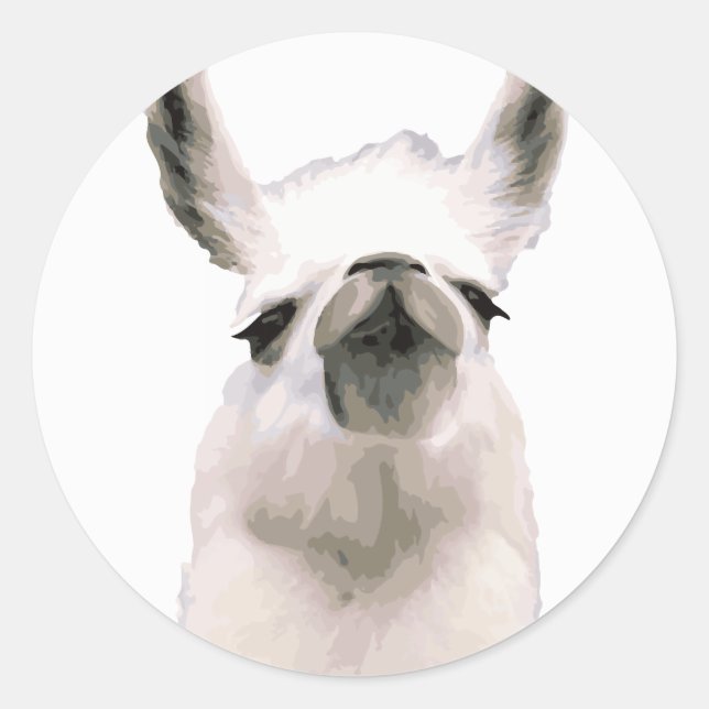 Adesivo Snooty Snobby Llama personalizado (Frente)