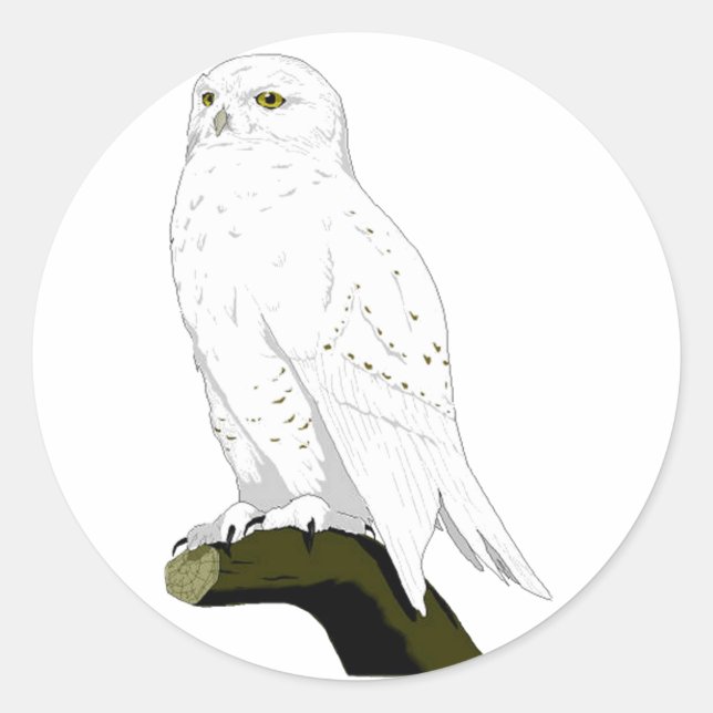 Adesivo Snow Owl (Frente)