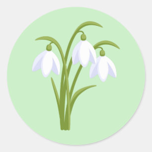 Adesivo Snowdrops - flores do primavera no verde