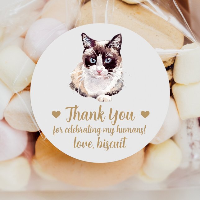Adesivo Snowshoe Cat Wedding Favor Stickers (Criador carregado)