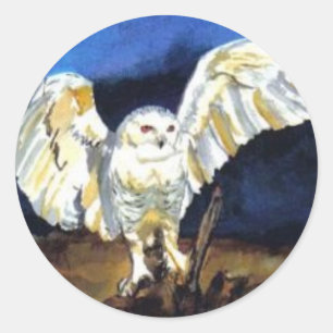 Adesivo Snowy Owl por Paula Atwell
