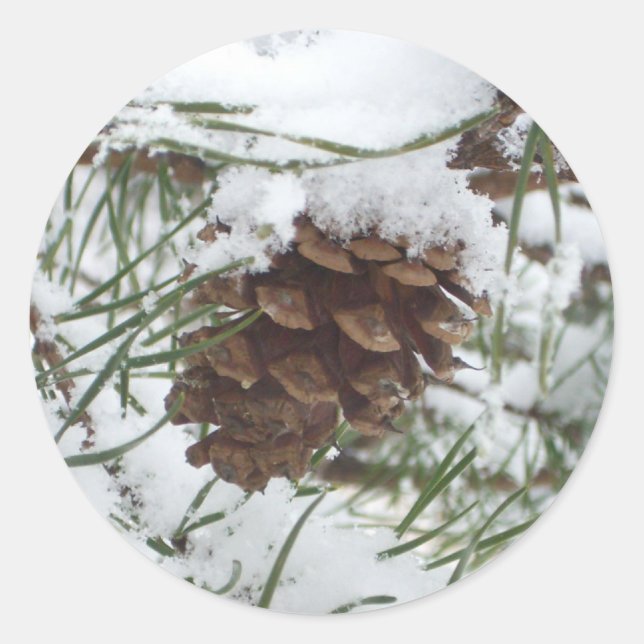 Adesivo Snowy Pine Cone I Winter Nature Photoshop (Frente)