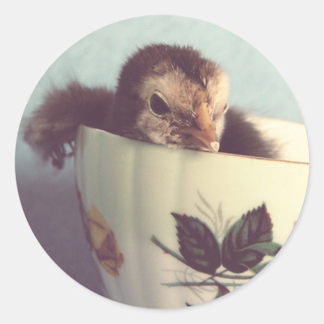 Adesivo Só estou a chillin (Frente)