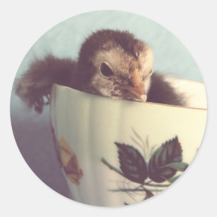 Adesivo Só estou a relaxar