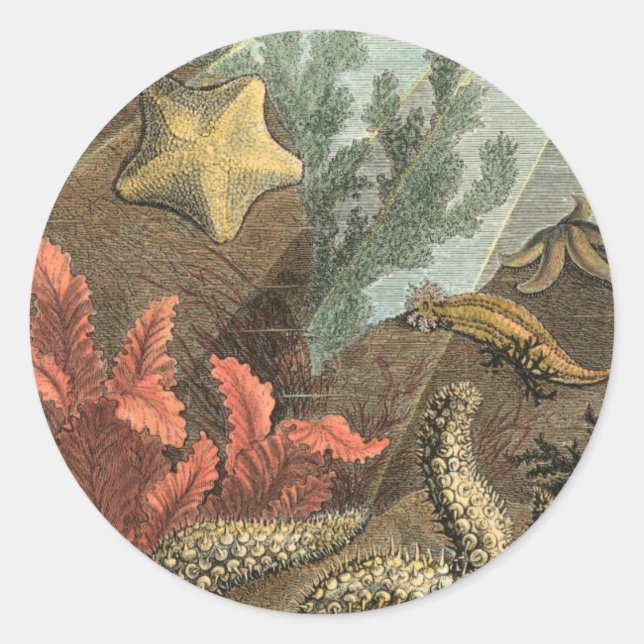 Adesivo Sob o mar (Frente)